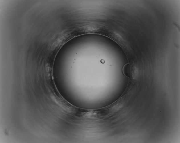 X0000103480366200809121655