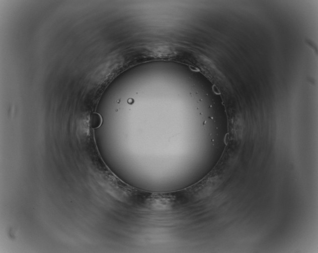 X0000103480368200809121655