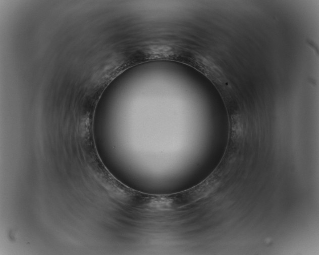 X0000103480369200809121655
