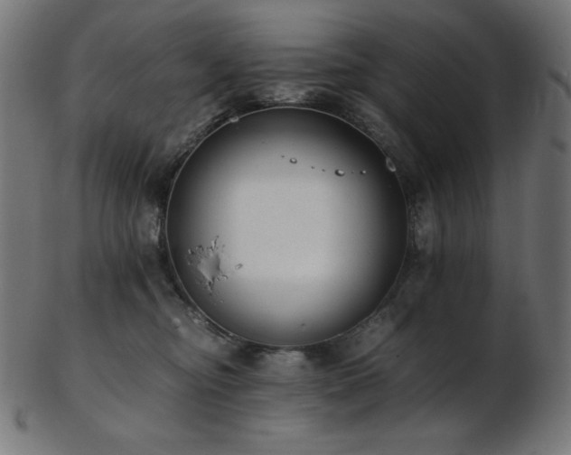 X0000103480374200809121655