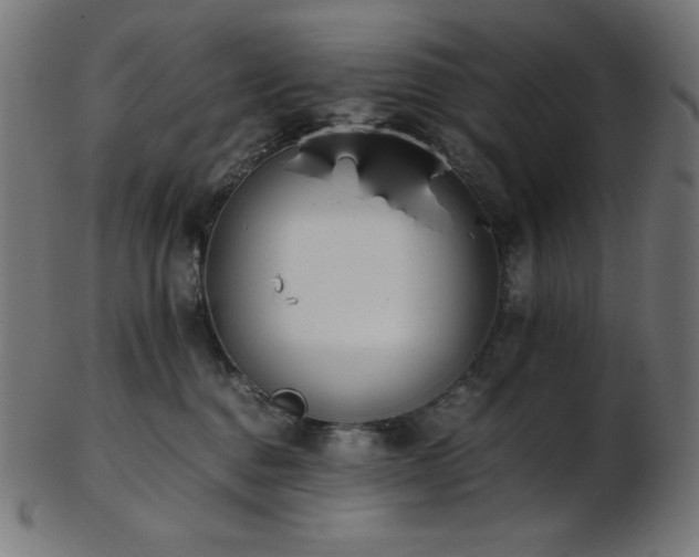 X0000103480376200809121655
