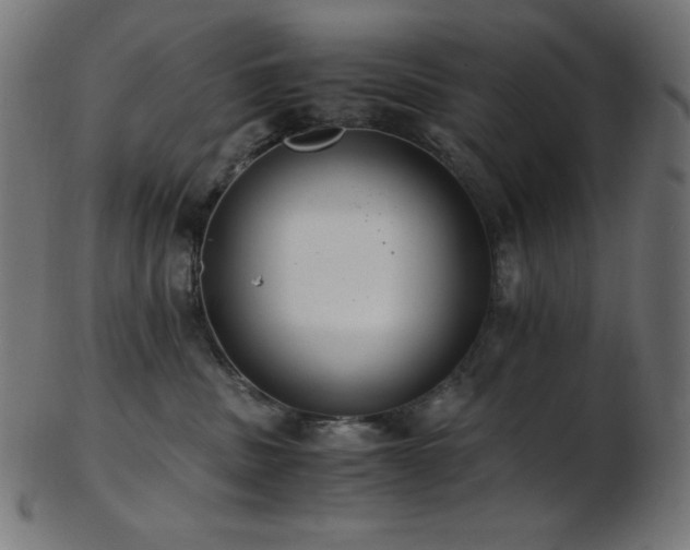 X0000103480379200809121655