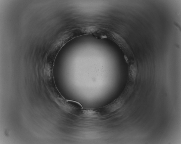 X0000103480380200809121655