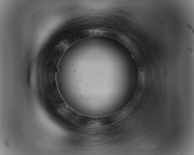 X0000103480381200809121655