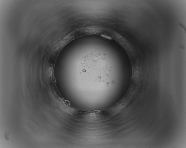 X0000103480382200809121655