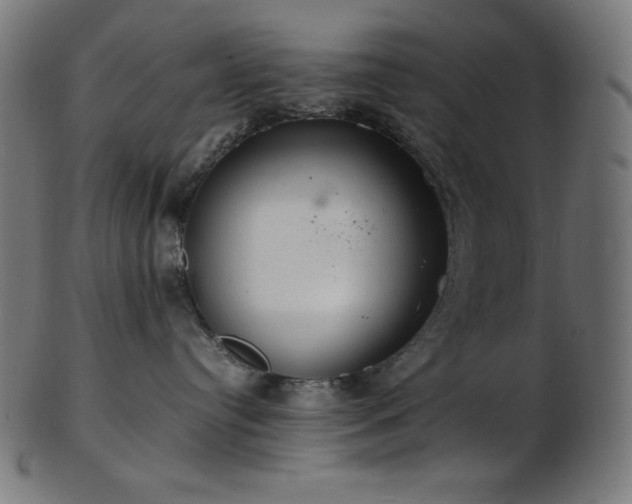 X0000103480384200809121655