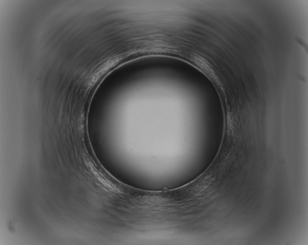 X0000103480389200809121655