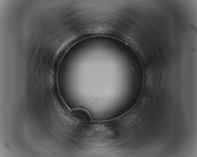 X0000103480392200809121654