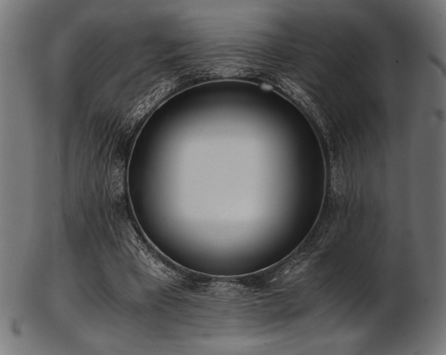 X0000103480393200809121654