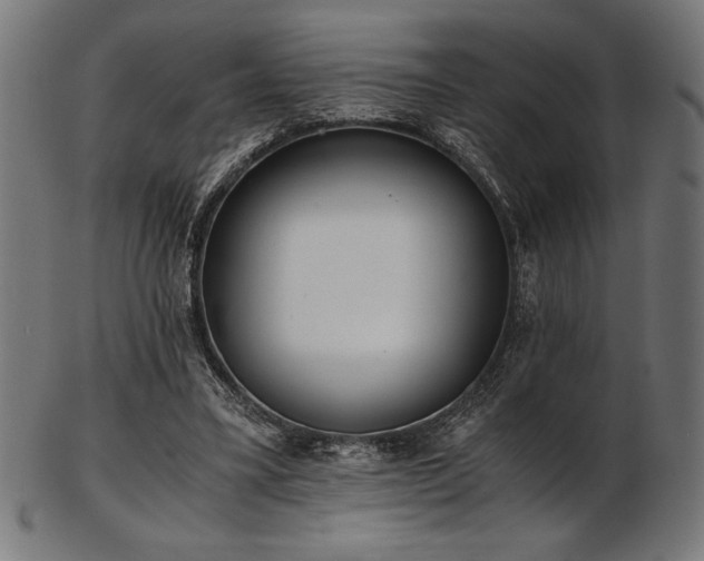 X0000103480395200809121654