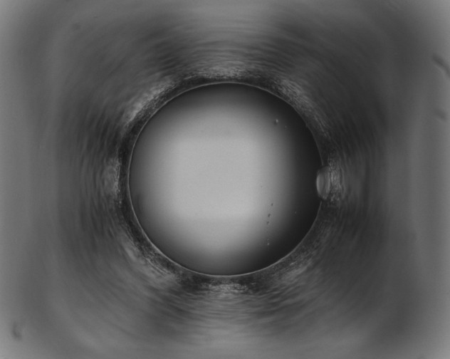X0000103480396200809121654