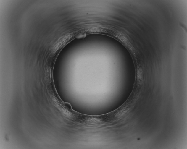 X0000103480397200809121654