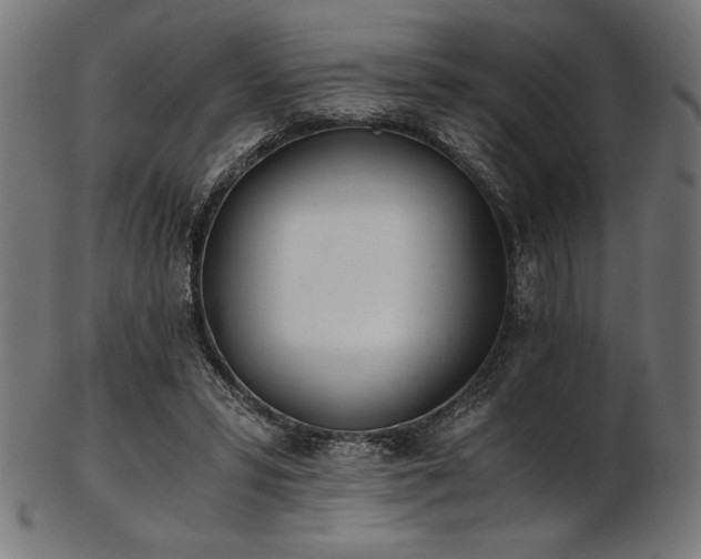 X0000103480399200809121654