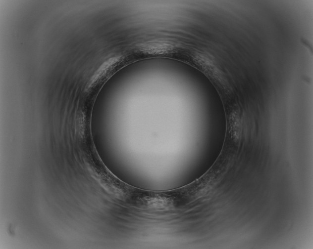 X0000103480400200809121654