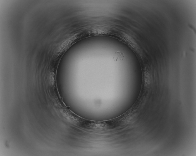 X0000103480401200809121654
