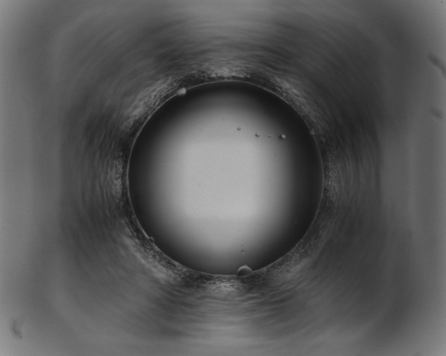 X0000103480402200809121654