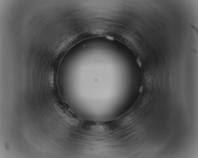 X0000103480404200809121654