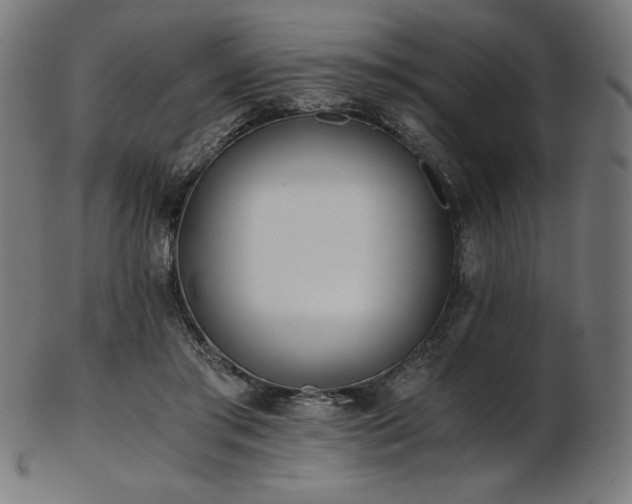 X0000103480405200809121654