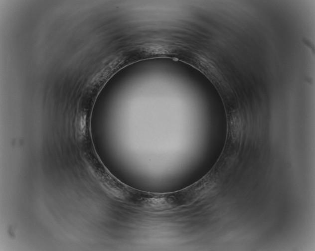 X0000103480406200809121654