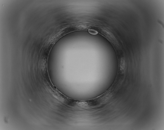 X0000103480409200809121654