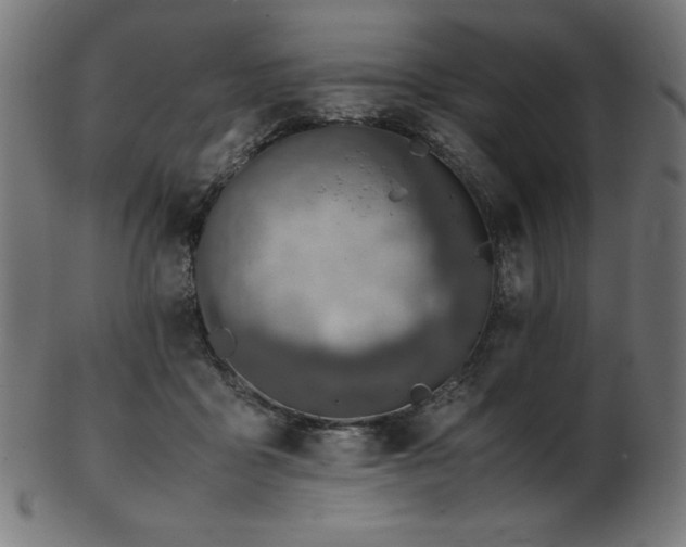 X0000103480411200809121654