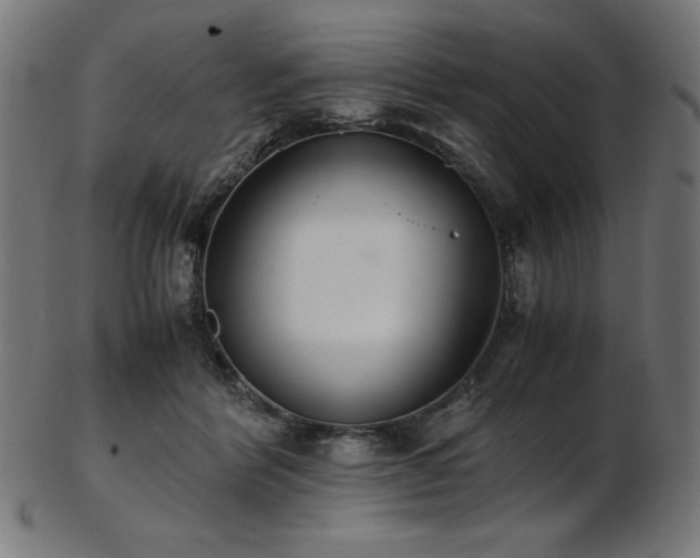 X0000103480412200809121654