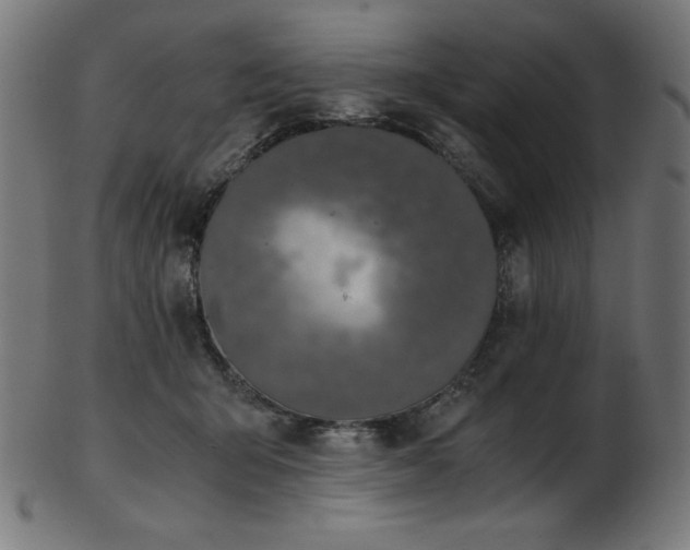 X0000103480415200809121654
