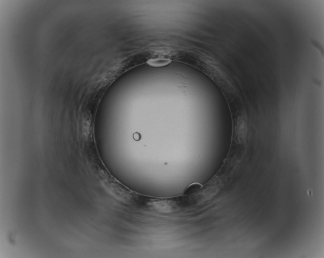 X0000103480417200809121654
