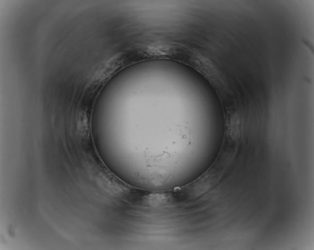 X0000103480418200809121654