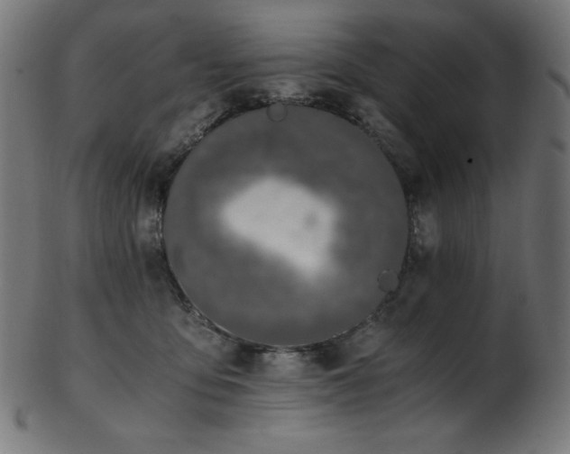 X0000103480419200809121654