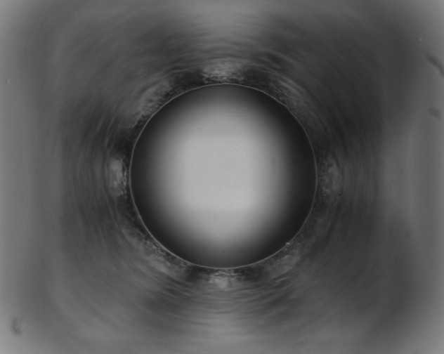 X0000103480420200809121654