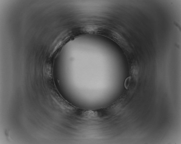 X0000103480421200809121654
