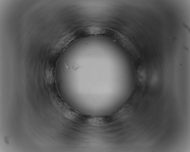 X0000103480422200809121654