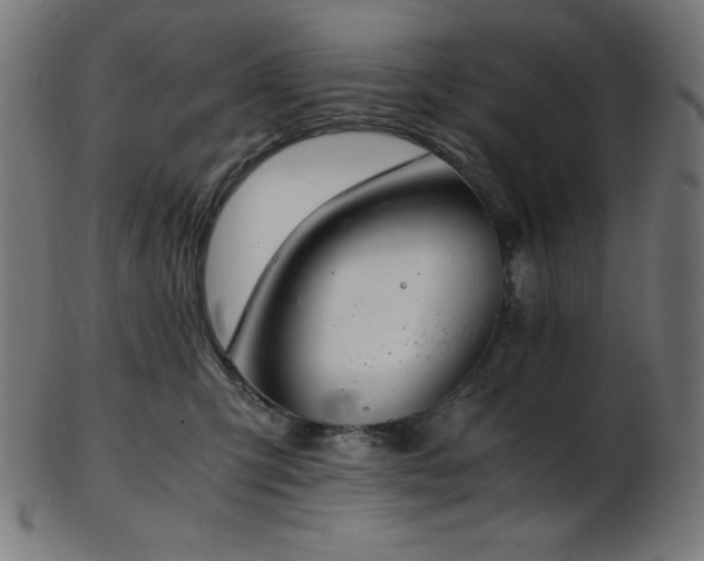 X0000103480423200809121654