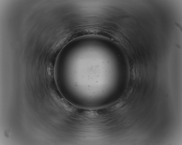 X0000103480424200809121654