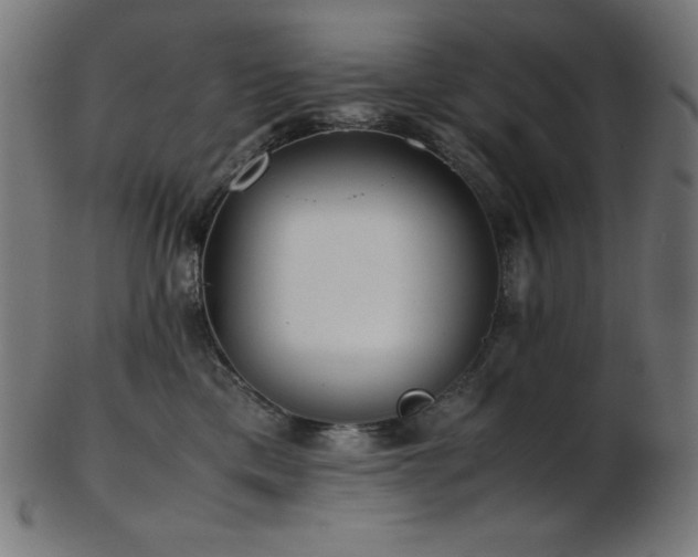 X0000103480425200809121654