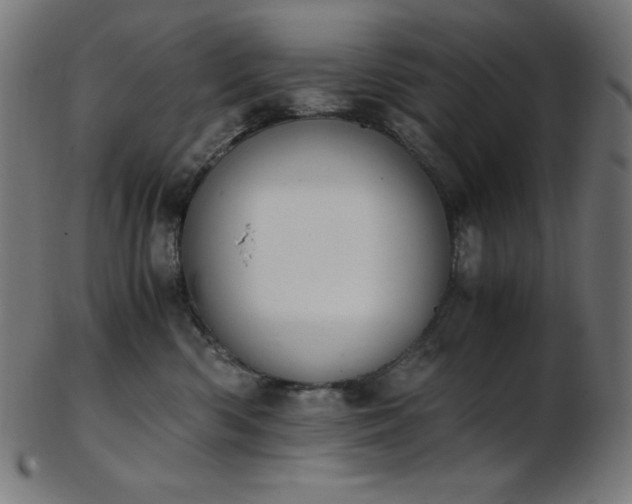 X0000103480426200809121654