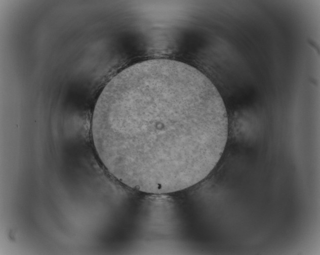 X0000103480427200809121654
