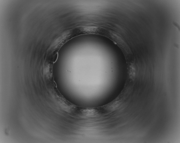X0000103480428200809121654