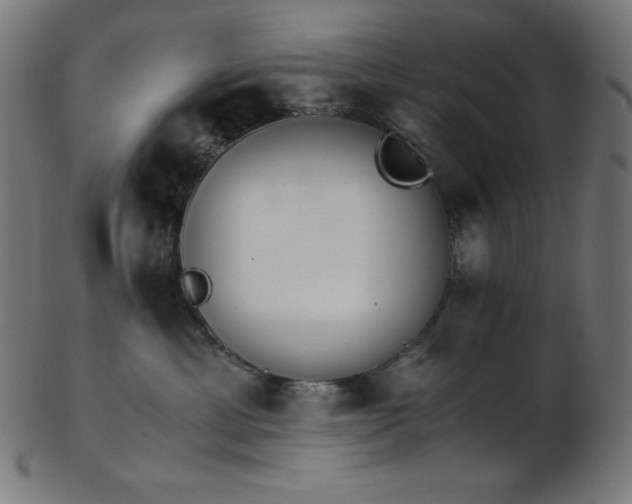 X0000103480429200809121654