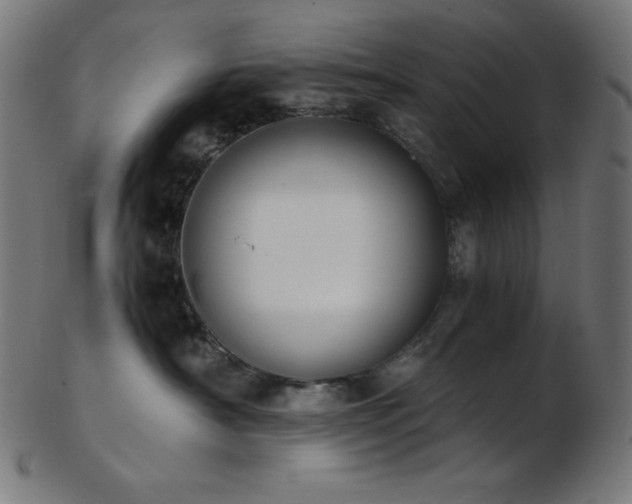 X0000103480430200809121654