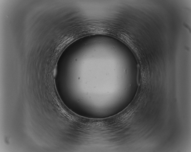 X0000103480433200809121653