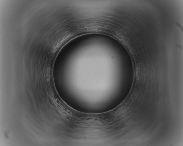 X0000103480434200809121653