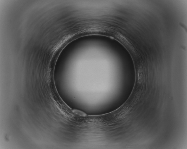 X0000103480436200809121653