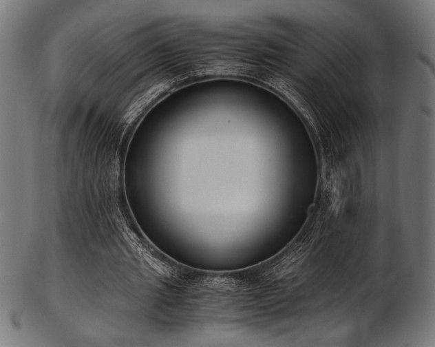 X0000103480437200809121653