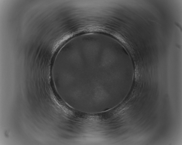 X0000103480438200809121653