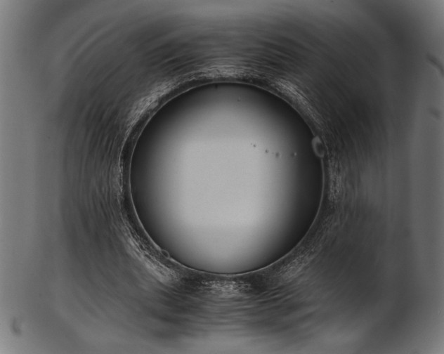 X0000103480439200809121653