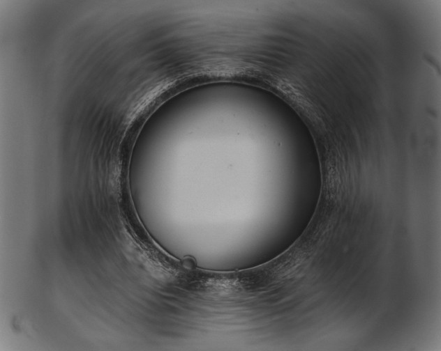 X0000103480440200809121653