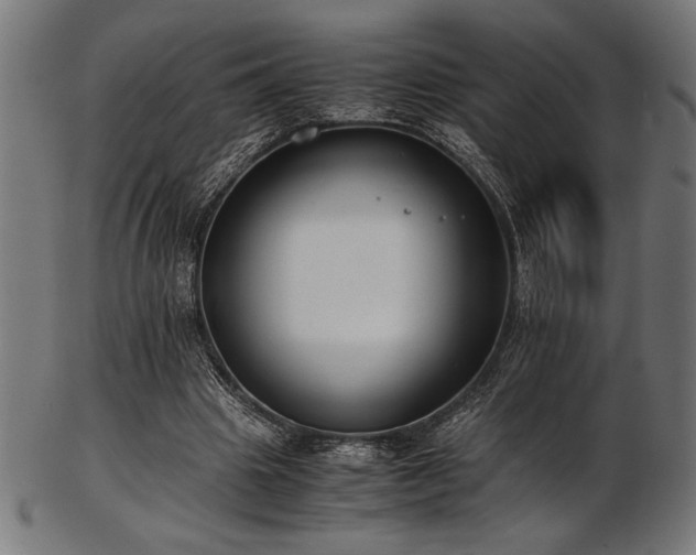 X0000103480441200809121653