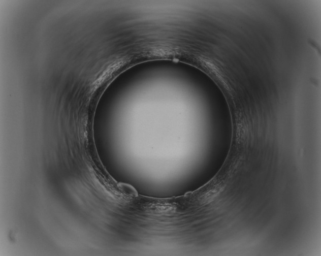 X0000103480443200809121653